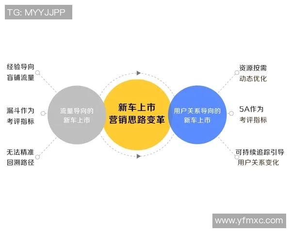布兰德斯：探索品牌塑造与市场营销的创新之路与成功案例分析