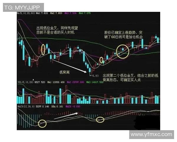 低位背身单打技巧解析与实战应用探讨