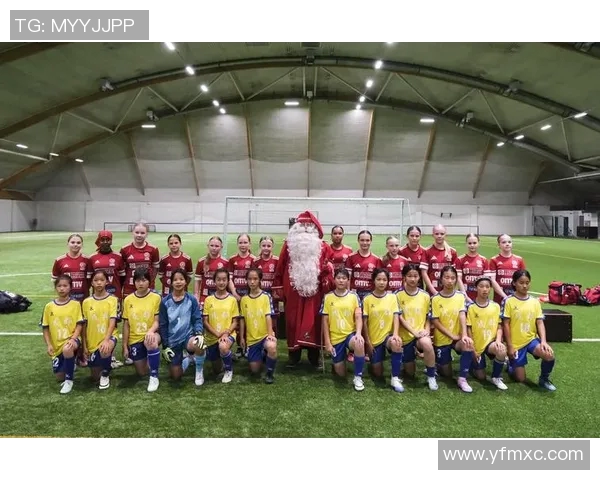 法国与芬兰足球历史交锋战绩分析与回顾