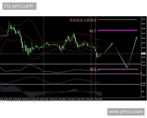 瑞典与秘鲁精彩对决现场直播全程回顾与分析