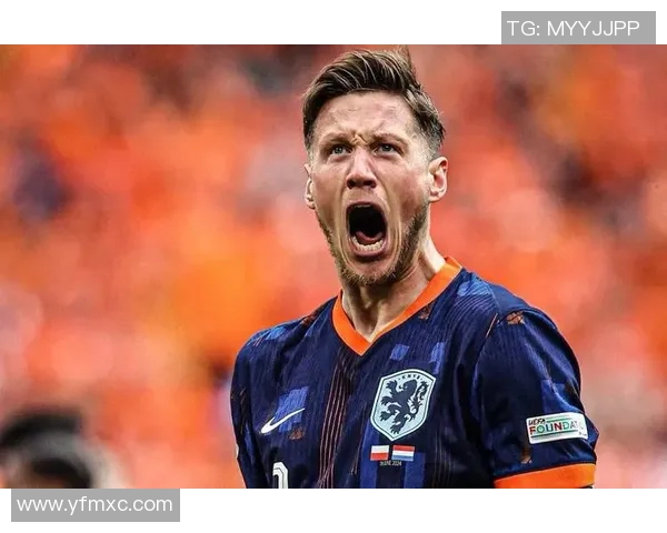 荷兰与法国足球历史交锋回顾及精彩瞬间分析