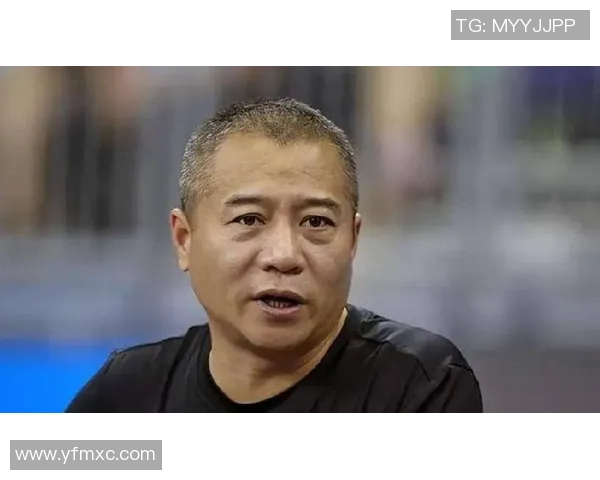 乒乓球王涛的传奇之路与不屈精神的完美结合