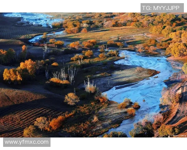 合恩角的神秘魅力与自然风光探秘之旅 合恩角的神秘魅力与自然风光探秘之旅