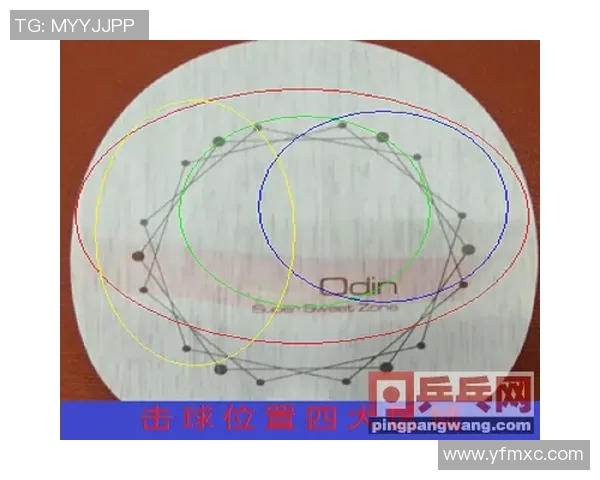 乒乓球男子与女子竞技差异探讨及其对运动发展的影响分析