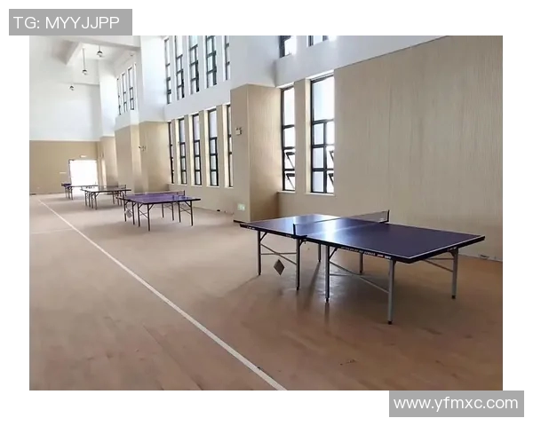 乒乓球桌标准尺寸详解及其对比赛的影响与选择建议