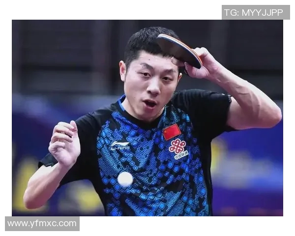 乒乒乓乓技艺无双乒坛传奇尽显风采与激情