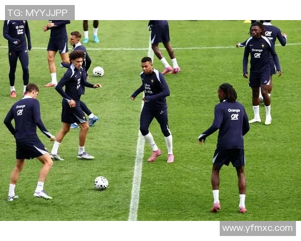 欧洲杯热门球队法国队备战欧洲杯：冠军之路蓄势待发
